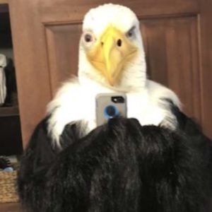 Meet your Posher, Jackson